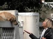 gondolieri della strada