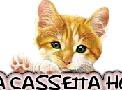 Mailbox (04/12/2011)