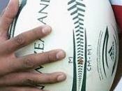 novembre importante Rete ovale