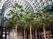 Viaggio Canada Quarta puntata