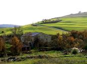 Verde d'Orcia