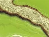 LoVolio gastronomia pugliese