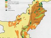 Pakistan promuove l'olivicoltura Punjab.
