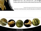 Cosimo Fanzago sculture ciborio della Certosa Serra Bruno