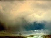 strada posted Liliana Spataru