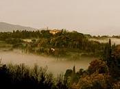 mare nebbia fluttuante