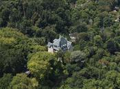 Fairy Sintra