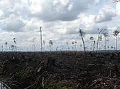 APP: cartiera pentole coperchi