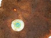 Pane casereccio Genzano