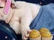 chissenefrega eccellere lavoro…