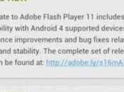Aggiornamento FLash Player: finalmente compatibile Android (Galaxy Nexus)