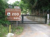 Sarà ricordato Lagonegro Angelo Alagia