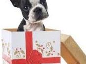 AIDAA: comprare cani line Natale? Occhio alla truffa