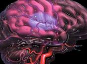 Secondo Andrew Hesse, biologo Americano, possibile “hackerare” nostri cervelli introducendo virus