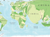 L'evoluzione umana ottica emergentista: un'ipotesi