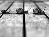 Calmiamoci partite…