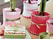 Amaryllis screziati bianco/rossi