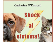 Shock sistema! Catherine O’Driscoll