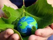 L'importanza delle "parole" ovvero saper disvelare anche camminare fianco dell'altro