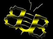 Logo Design lettera