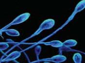 Sviluppato sperma provetta!