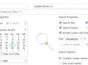 Instant File Searcher Professional, nuovo search Windows