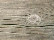texture design