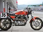 Harley 1981 Racer Machine