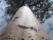 Febbraio 2012: Seconda Giornata della Belezza Sostenibile!