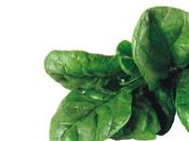 Gratin spinaci profumo limone