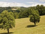 costruzione dell’impianto eolico Passo Santa Donna