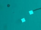 Microrobot trasporta, assembla porta destinazione oggetti nanometrici