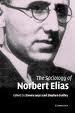 Norbert Elias
