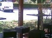 Della Torre Roma Zola Predosa (BO)