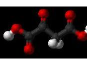 Un'altra sostanza mimetica della restrizione calorica: l'acido ossalacetico