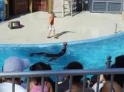 SeaWorld