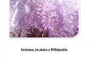 Wiki Wonderland Insieme, aiuto Wikipedia