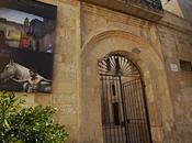 Weber mostra Lecce