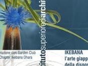 Corso ikebana, l’arte giapponese della disposizione fiori recisi