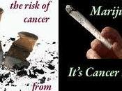 conferma scienza: marijuana provoca cancro