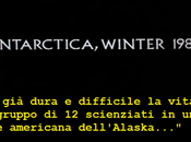 Critica alla critica: cosa (1982)
