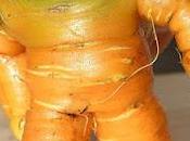 "brodo"? Avevo capito "Abobo"...