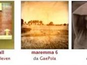 Foto della settimana