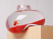 Bubble tank