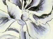 DISEGNARE DIPINGERE:Facile tratto pen!