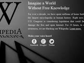 Wikipedia oscurata
