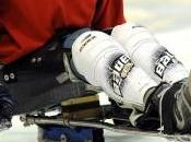 Tori seduti sempre vincenti