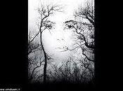 SOLO COMEIn queste sere mesto invernoCammini solo, com...