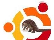 Downlaod Ubuntu Precise Pangolin 12.04 LTS, ecco dove scaricare ultima versione Sistema Operativo Canonical