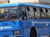 Modelli autobus: storia Fiat